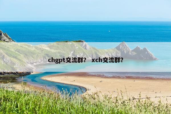 chgpt交流群？ xch交流群？