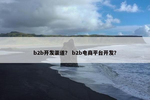 b2b开发渠道? b2b电商平台开发?