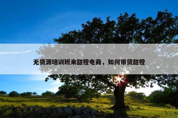 无货源培训班来甜橙电商，如何带货甜橙