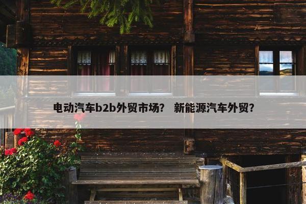 电动汽车b2b外贸市场？ 新能源汽车外贸？