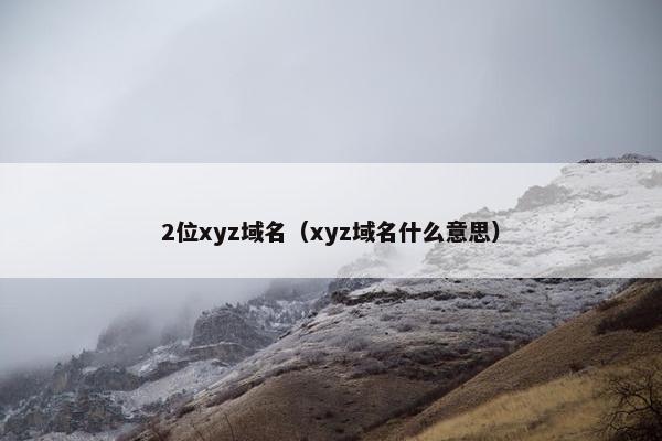 2位xyz域名(xyz域名什么意思)
