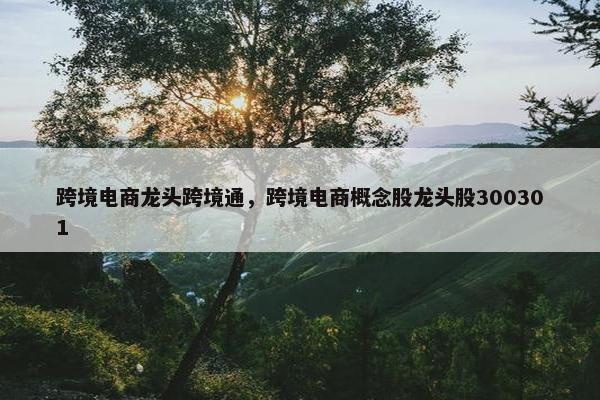 跨境电商龙头跨境通，跨境电商概念股龙头股300301