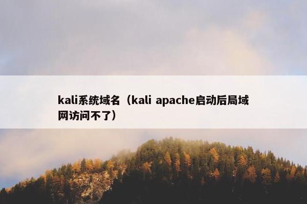 kali系统域名（kali apache启动后局域网访问不了）