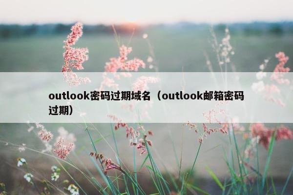 outlook密码过期域名(outlook邮箱密码过期)