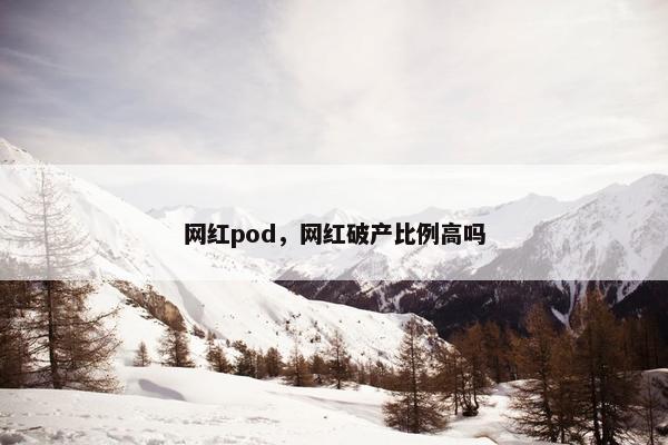 网红pod，网红破产比例高吗