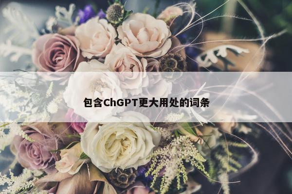 包含ChGPT更大用处的词条