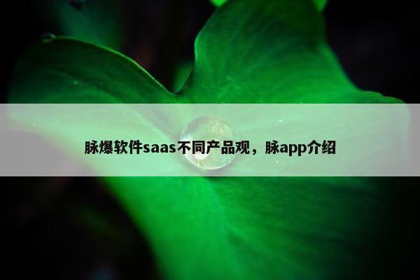 脉爆软件saas不同产品观,脉app介绍