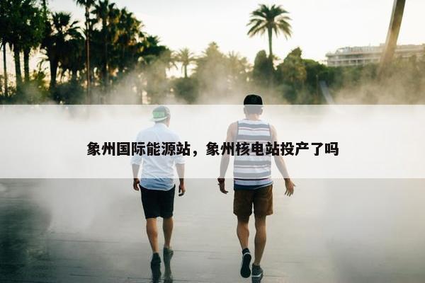 象州国际能源站，象州核电站投产了吗