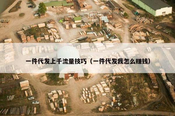 一件代发上千流量技巧(一件代发我怎么赚钱)