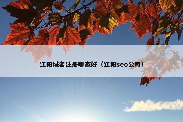 辽阳域名注册哪家好（辽阳seo公司）