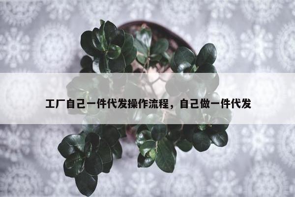 工厂自己一件代发操作流程，自己做一件代发
