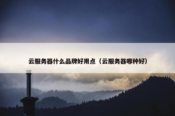 云服务器什么品牌好用点（云服务器哪种好）