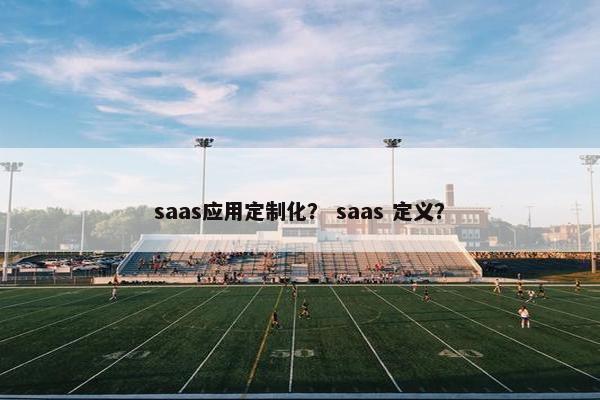 saas应用定制化？ saas 定义？