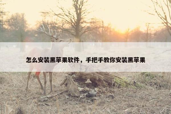 怎么安装黑苹果软件，手把手教你安装黑苹果