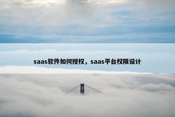 saas软件如何授权，saas平台权限设计