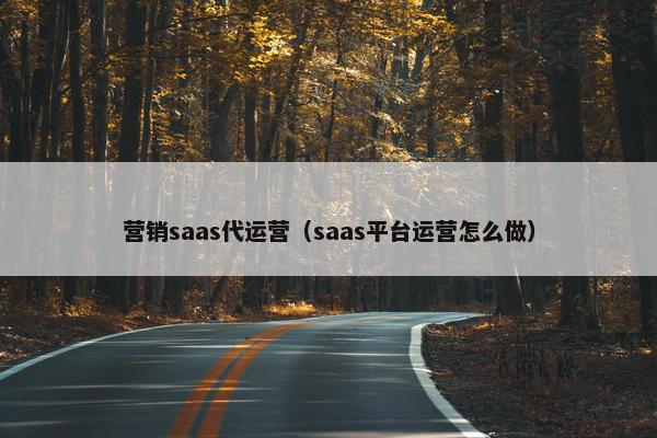 营销saas代运营（saas平台运营怎么做）