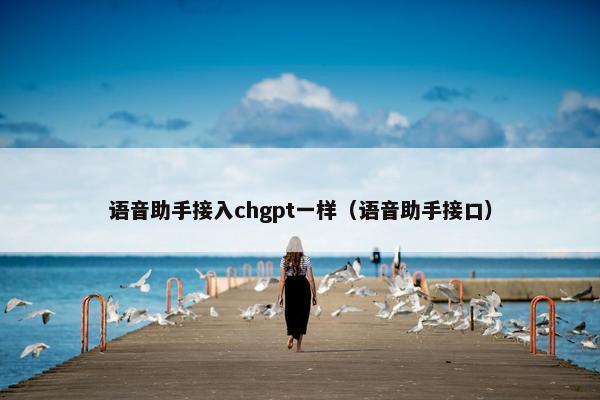 语音助手接入chgpt一样(语音助手接口)