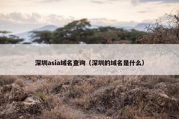 深圳asia域名查询（深圳的域名是什么）